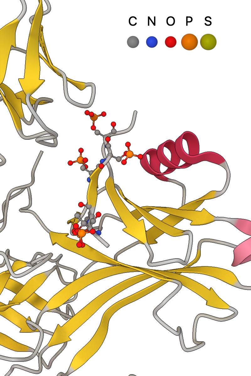 ../../../_images/cartoon_ligand_example.jpg