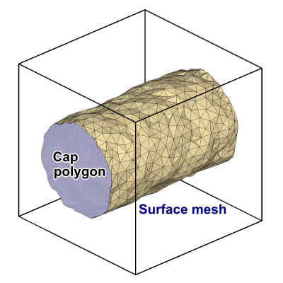 ../../../_images/surface_mesh_example.png